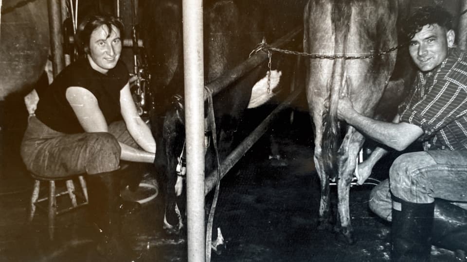 Schwarzweissbild von Hanni und Max beim Melken der Kühe im Stall.