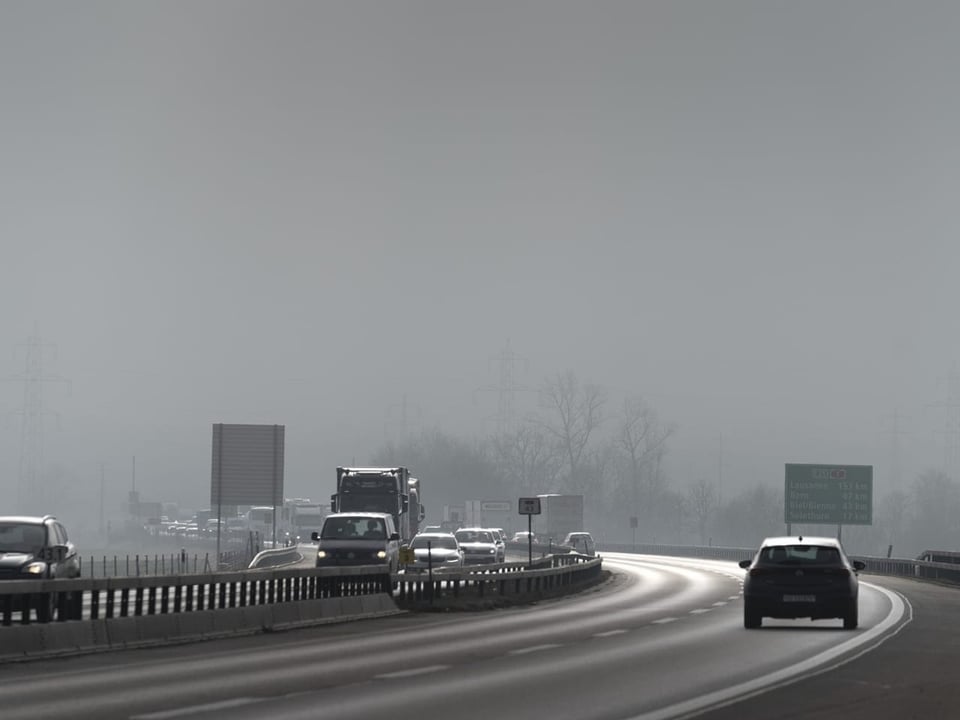 Autos auf nebliger Autobahn.