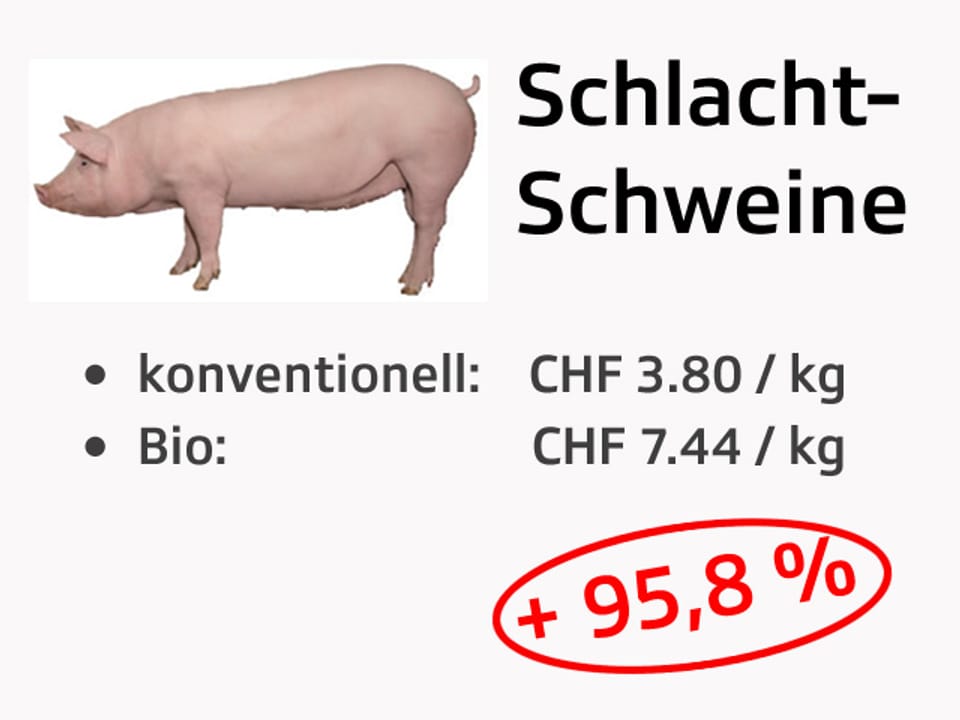 Preisvergleich Konventionell und Bio.