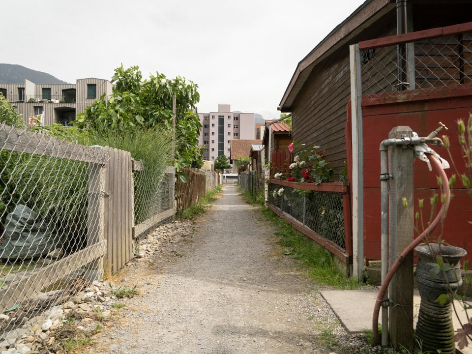 Bleras pitschnas bias mainan tras il quartier da schrebertins