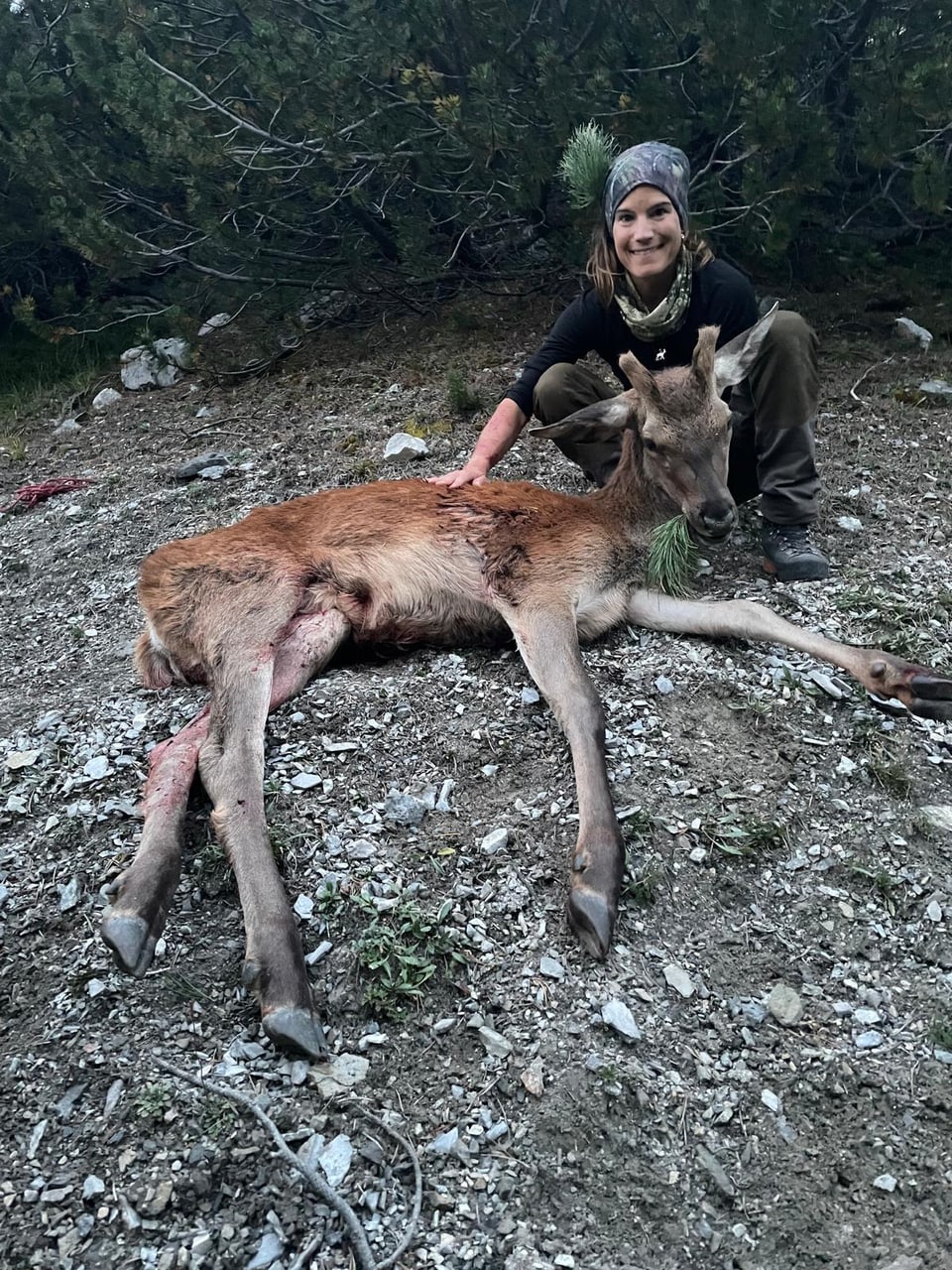 Person kniet neben einem Hirsch in einem Waldgebiet.