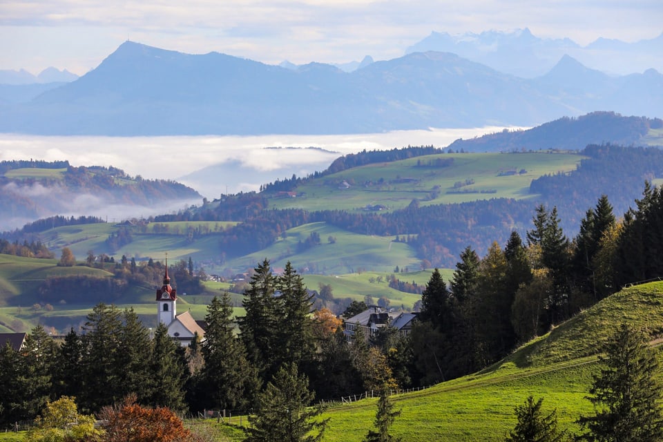 Herbstlicher Ausblick zu den Alpen