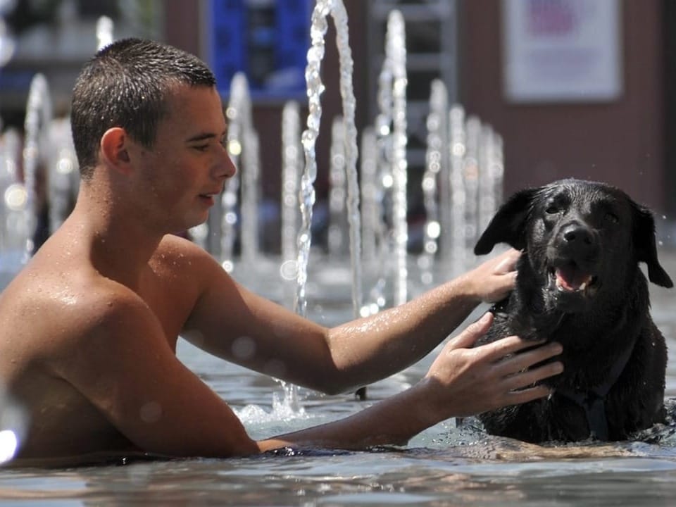 Junger Mann ist zusammen mit einem schwarzer Hund im Wasser. Man sieht kleine Fontänen des Brunnens auf dem Messeplatz. 