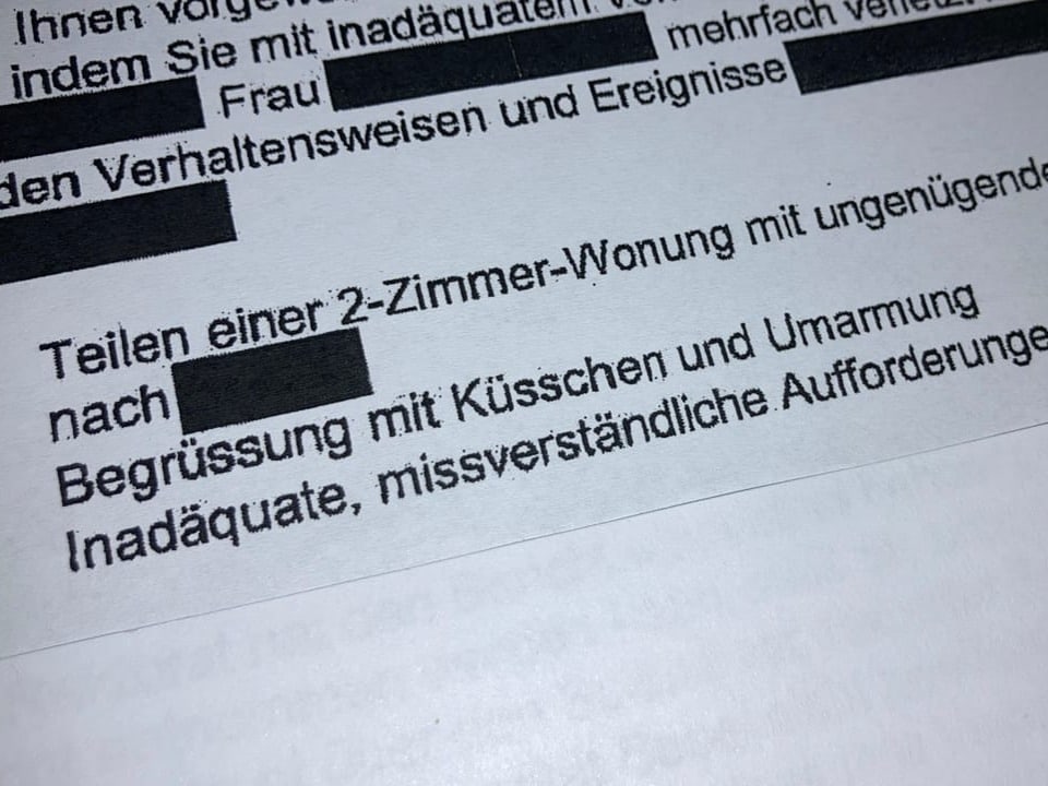 Auszug aus der Abmahnung