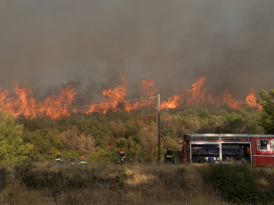 Feuerwehr bekämpft Waldbrand mit Rauch im Hintergrund.