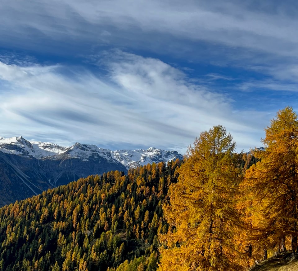 Berglandschaft mit herbstlichen Bäumen und schneebedeckten Gipfeln.