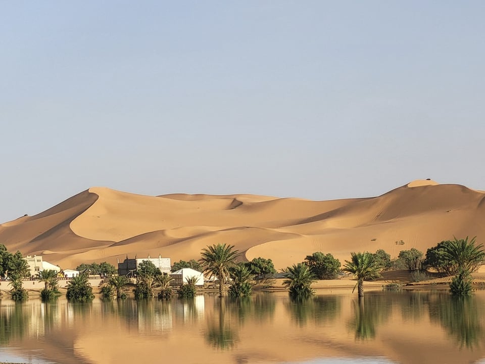 Wüstenlandschaft mit Palmen und Sanddünen.