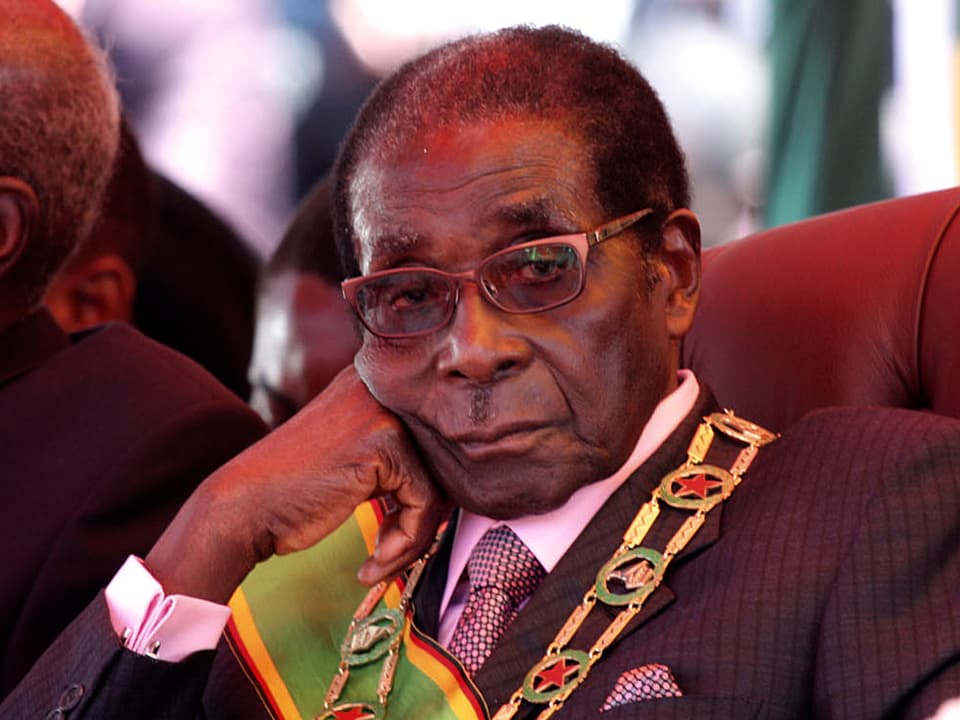 Mugabes Regime 