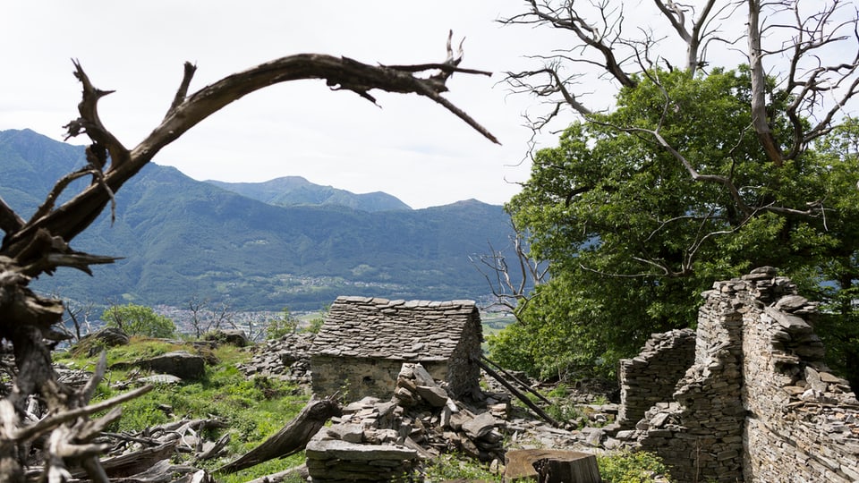 verlassenes Haus, Ruine