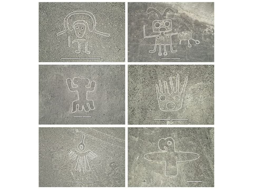 Sechs Nazca-Linien-Bilder auf grauem Boden.