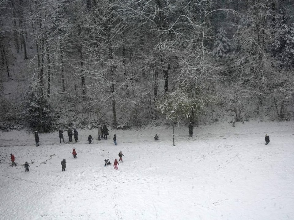 Kinder spielen im verschneiten Park, umgeben von Bäumen.