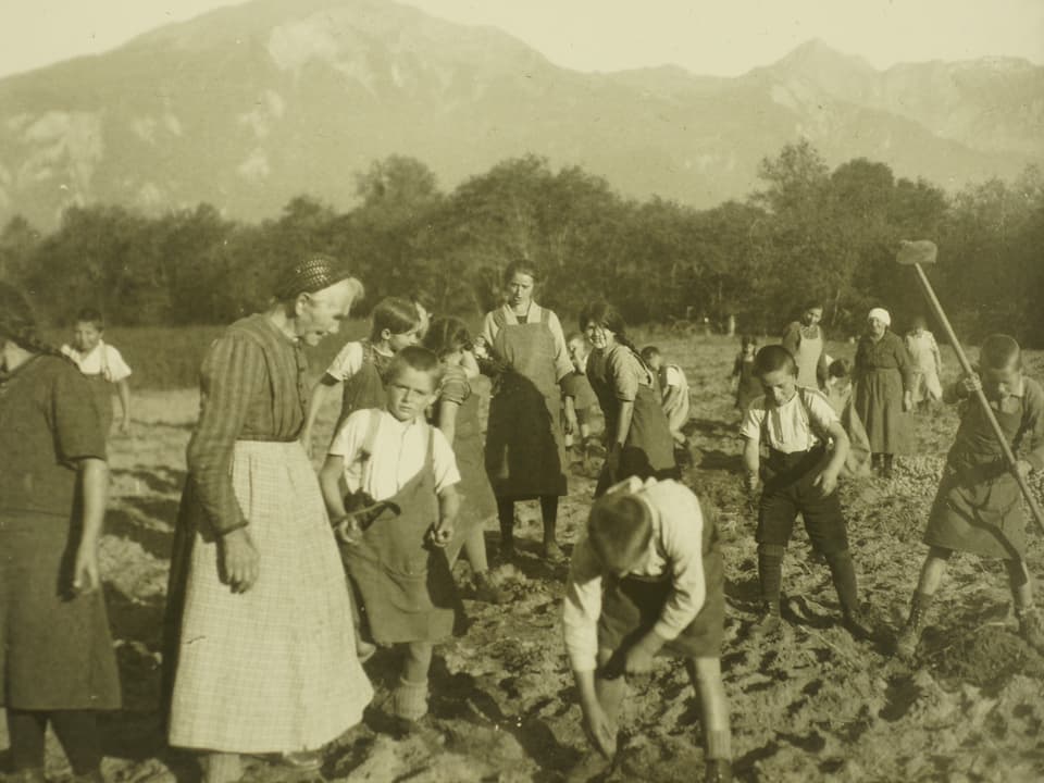 Kinder arbeiten auf dem Feld, alte Frau steht dabei.