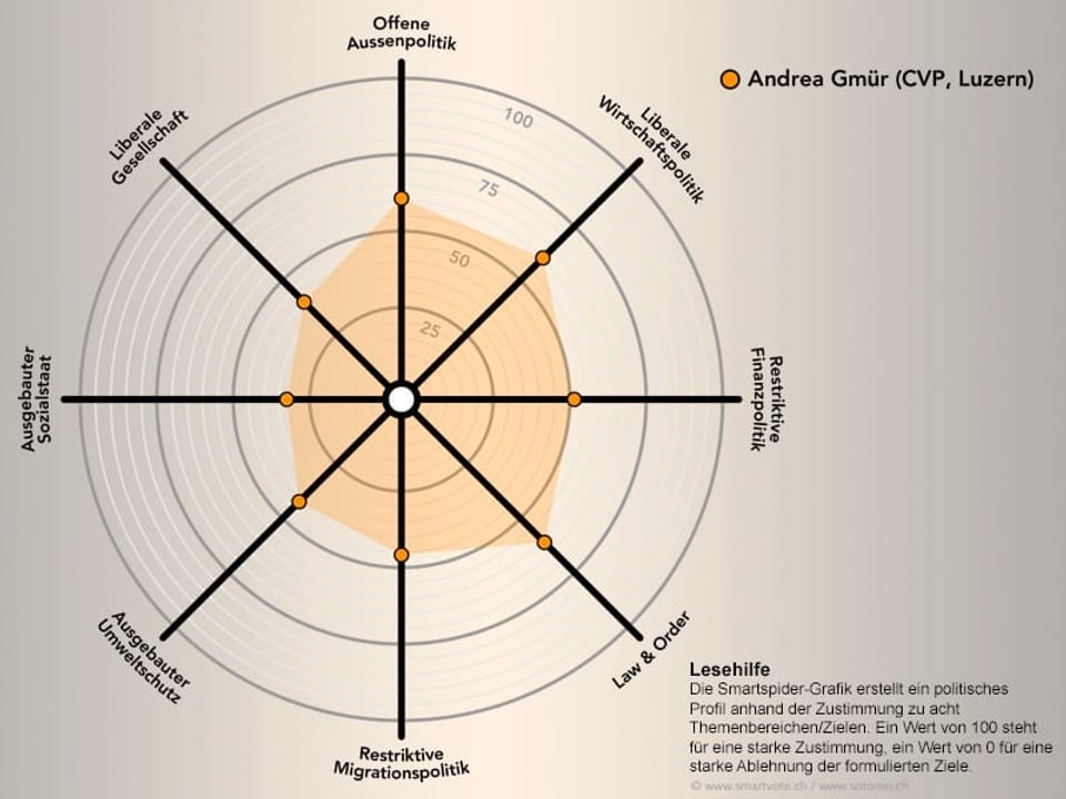 Das politische Profil von Andrea Gmür schematisch dargestellt.