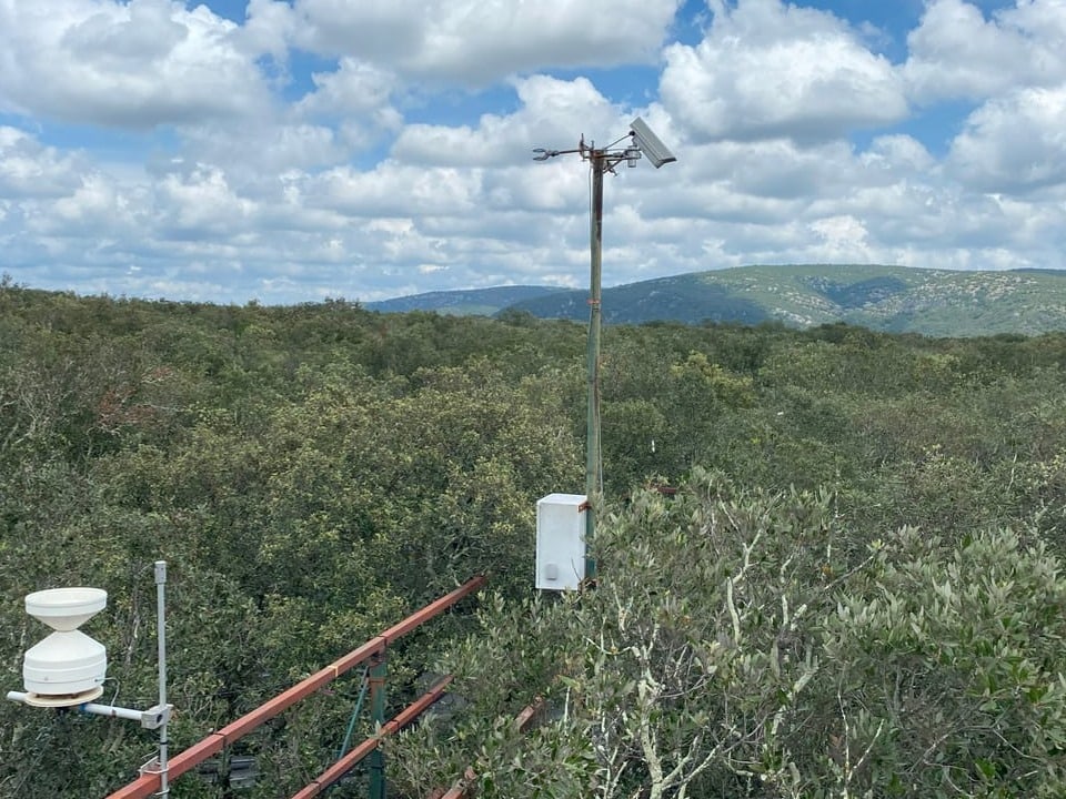 Wetterstation über einem bewaldeten Gebiet mit Bergen im Hintergrund.