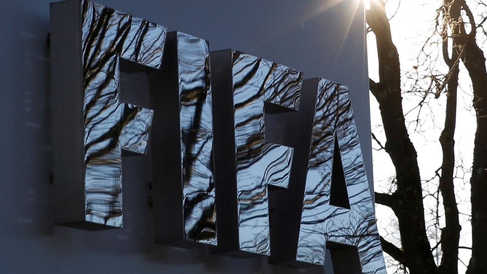 Metallisches FIFA-Logo mit Spiegelung von Bäumen.