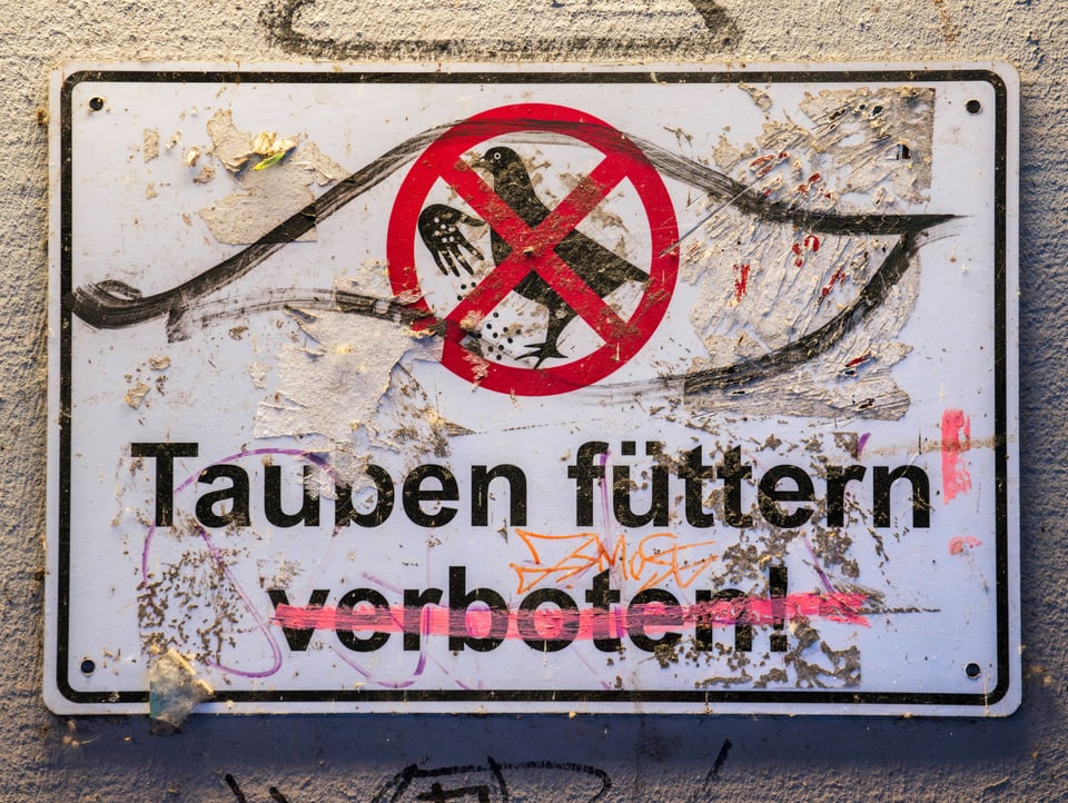 Verschmiertes Schild mit der Aufschrift: «Tauben füttern verboten!»