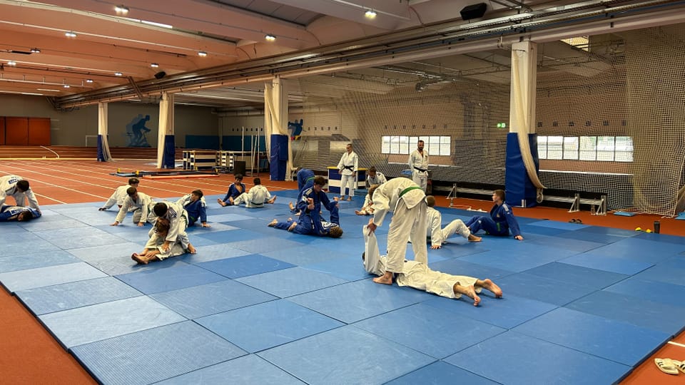 Mehrere Personen in weissen und blauen Jiu-Jitsu-Anzügen, die in einer Sporthalle auf Matten trainieren.