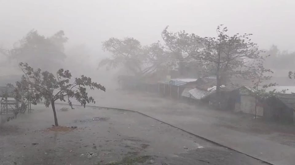 Trübe Sicht,auf dem Bild regnet es stark, Äste von Bäumen biegen sich aufgrund heftigen Windes.