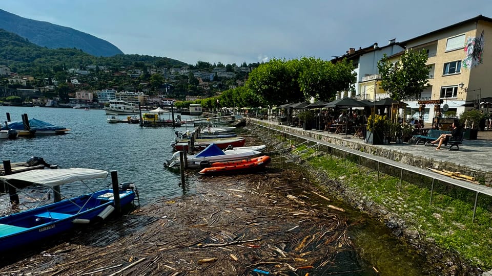 Schwemmholz dahinter Boote in Ascona.