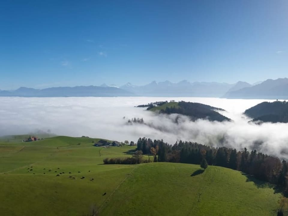 Landschaft mit grünen Hügeln, Wald und Nebel.