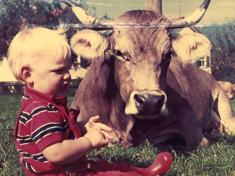 Kleiner blonhaariger Junge sitzt auf Wiese neben brauner Kuh.