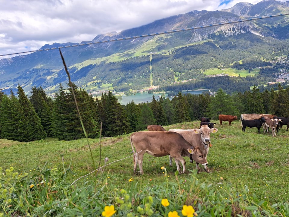 Lenzerheide