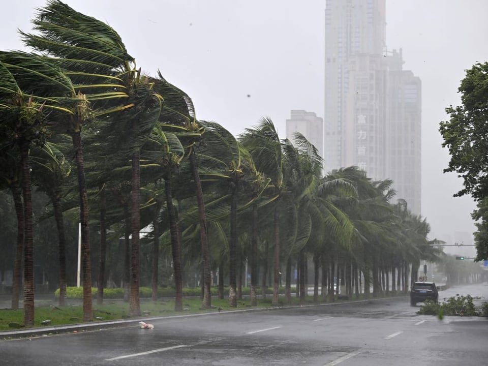 Starker Wind biegt Palmen in der Stadt während eines Sturms.