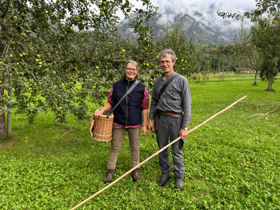 Zwei Personen in einem Obstgarten mit Korb und Stange.