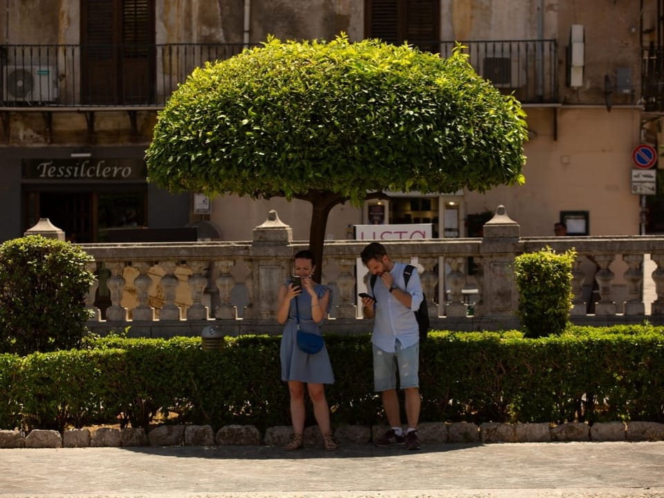 Zwei Personen unter einem Baum schauen auf ihre Handys.