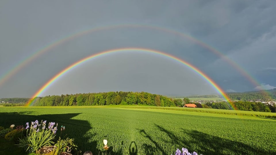 Doppelter Regenbogen über grüner Landschaft und Wiesen.