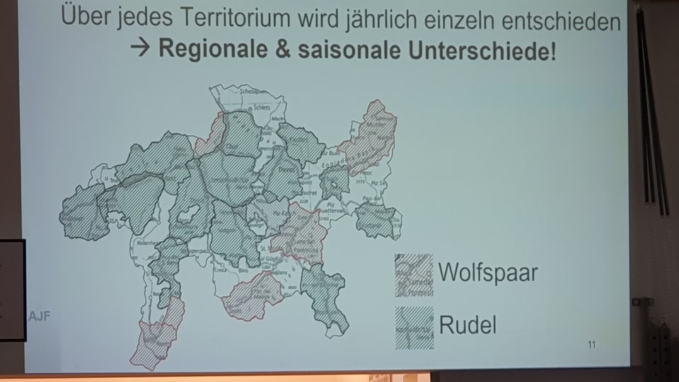 Übersicht Wolfspaare und Rudel im Kanton Graubünden