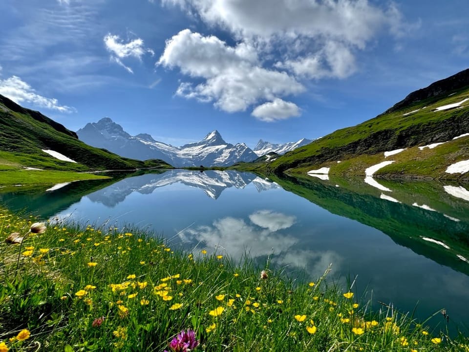 Die Alpen spiegeln sich im Bachalpsee