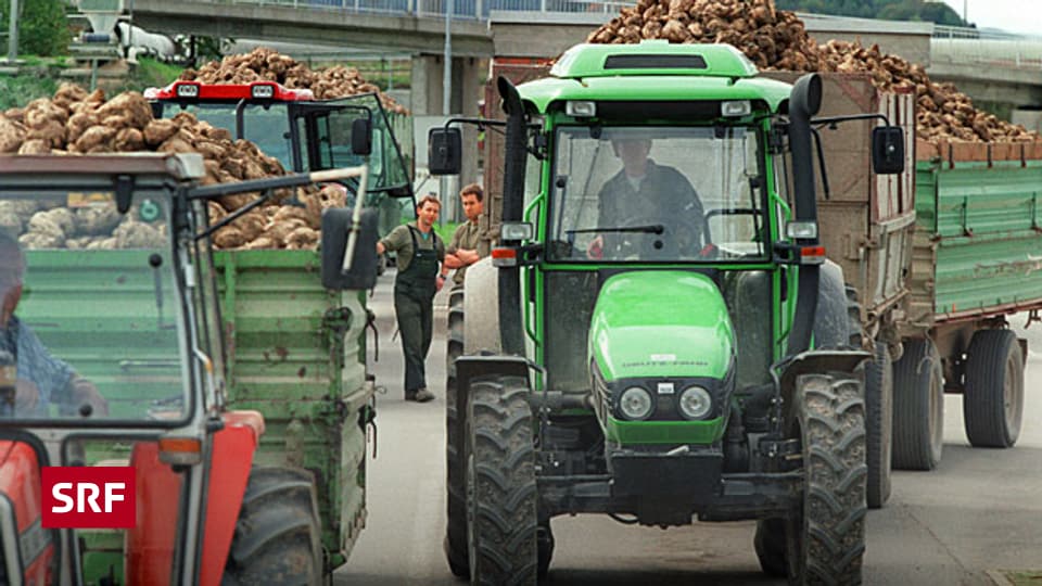 Magere Zuckerrubenernte In Der Schweiz Rendez Vous Srf