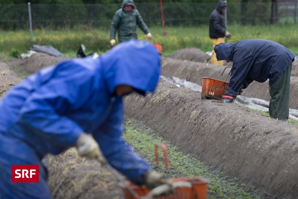 Zu Viele Kontrollen Gegen Lohndumping Heutemorgen Srf 