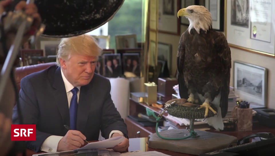 International Adler Attackiert Donald Trump Glanz Gloria Srf