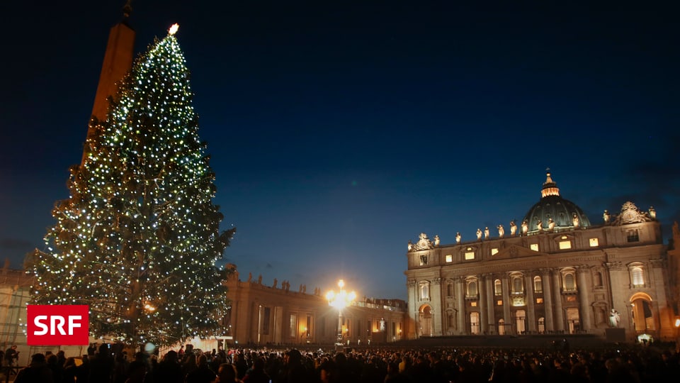 Fünfmalklug Woher kommt der Christbaum? Einstein SRF