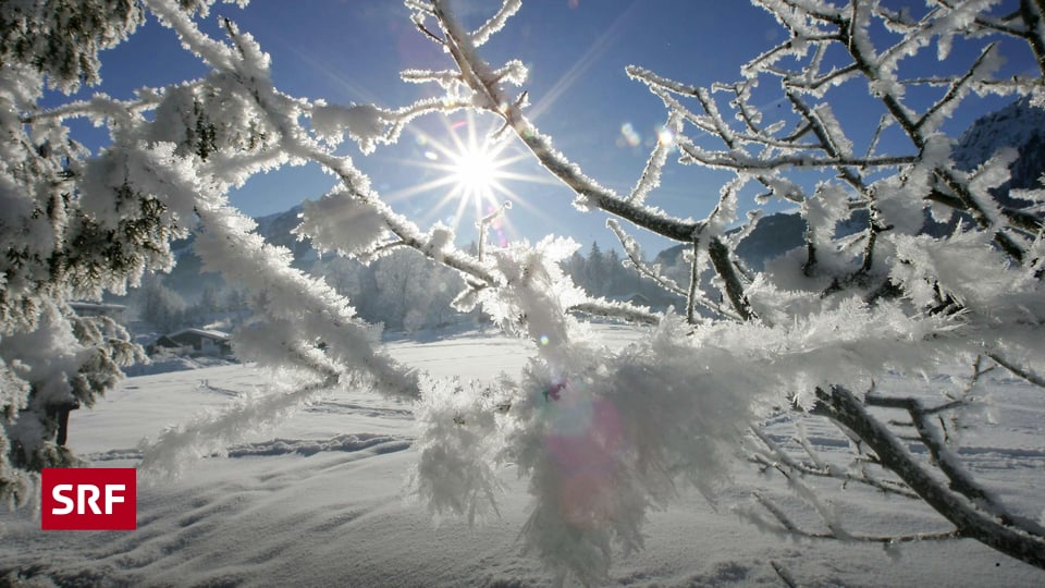 Quiz der Woche - Es schneit: Teste dein Wissen rund um