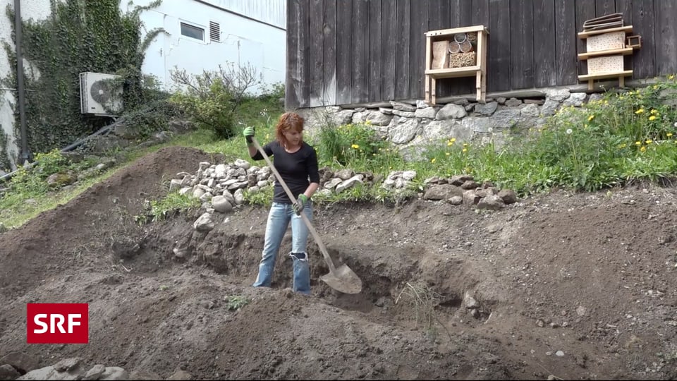 Unterstutzung Fur Wildbienen So Baust Du Ein Sandarium Mission