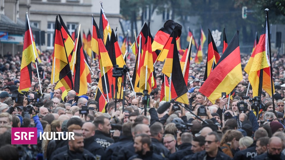 Neues Buch über Die AfD - Wie Die AfD Die Politische Kultur In ...