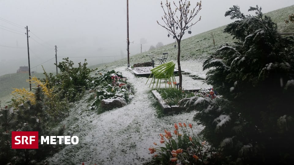 Schnee Bis Ins Flachland - Ärgernis Aprilschnee! - Meteo - SRF