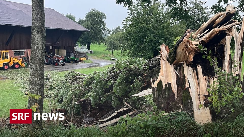 Thunderstorms before August 1st – Storms sweep across Switzerland – Baume-Schneider’s speech cancelled – News