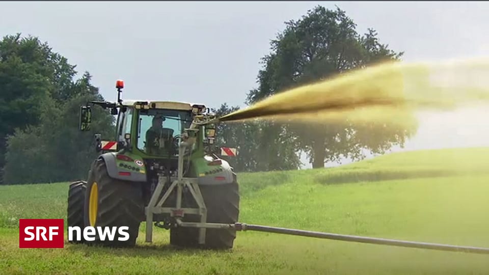 Behorden Schutzen Bauern Hohe Tierdichte Ammoniak Emissionen