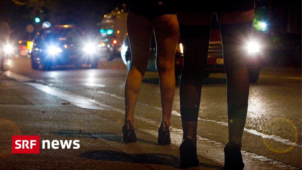 Basel Baselland - Basel Zählt 2900 Prostituierte - News - SRF