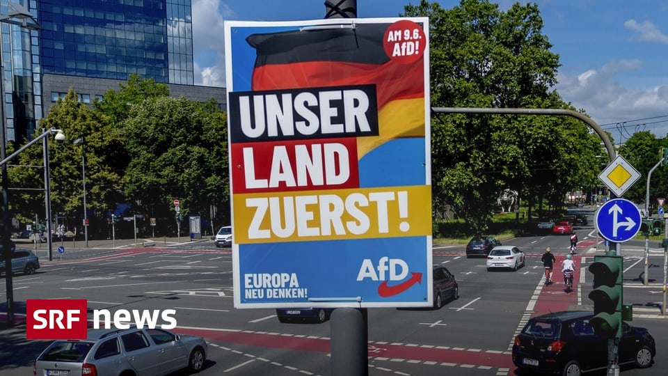 AFD tries to win votes from immigrants: a sociologist classifies – News