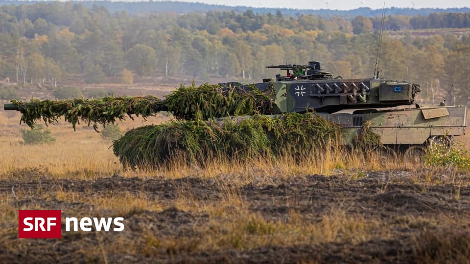 Krieg In Der Ukraine - Marder, Gepard, Leopard: Die Rollen Der ...