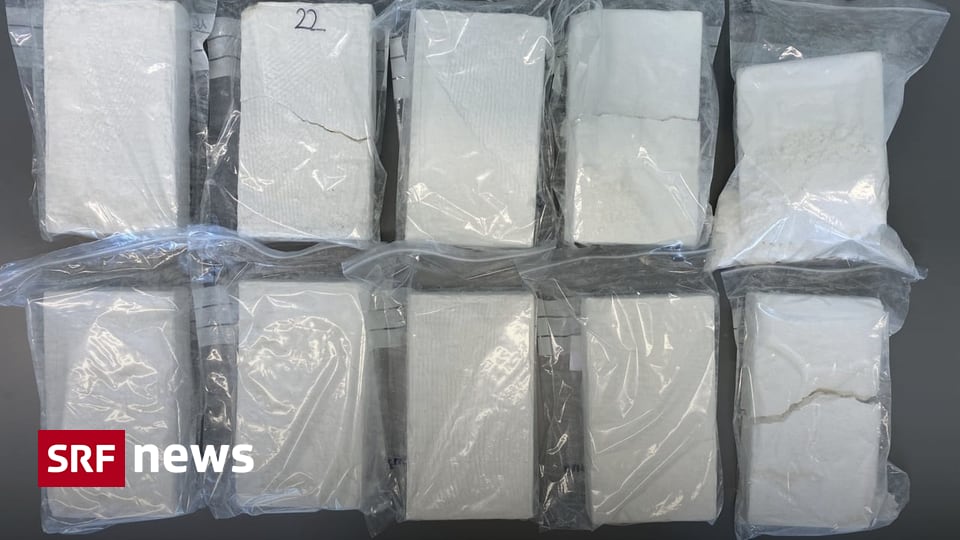 Kokainschmuggel aus Südamerika - «In Europa lassen sich viel höhere Gewinne  mit Kokain machen» - News - SRF