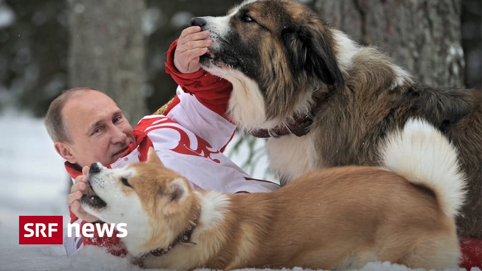 Auf Zu Einer Neuen Runde Wladimir Putin Legt Eid Für Weitere Amtszeit