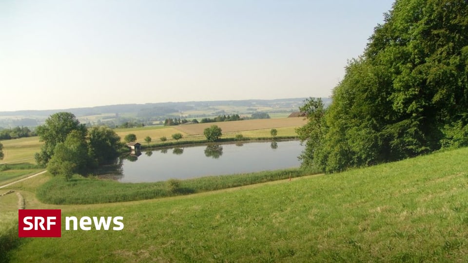 Erfolgreiche Weihersanierung in Bellach: Gemeinsam für den Naturschutz