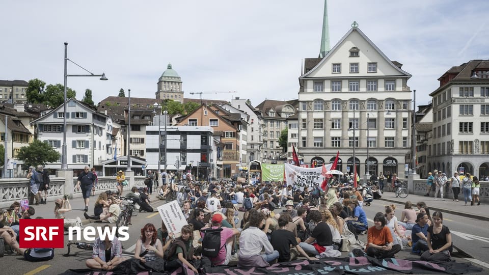 Federalism is a problem – Amnesty: Right to protest under duress – Switzerland too – News
