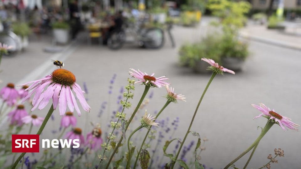 Biodiversitäts Initiative Glp Beschliesst Die Ja Parole News Srf